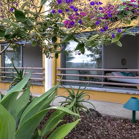 Epizentrum Apartment *